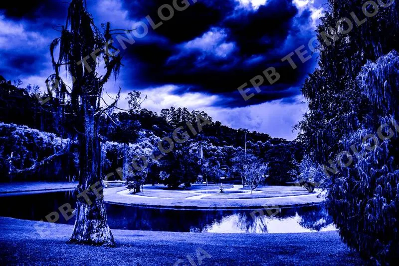 Realidade alternativa